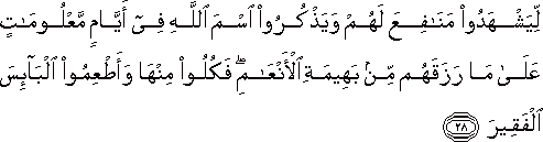 Quran 22:28