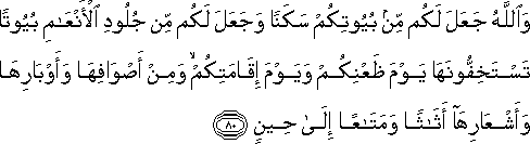 والله جعل لكم من بيوتكم سكنا